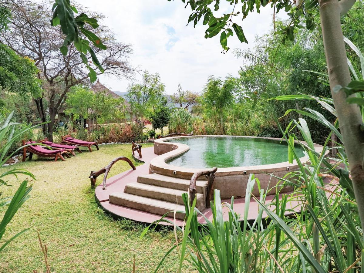 Lodge Natron Maasai Giraffe Eco And