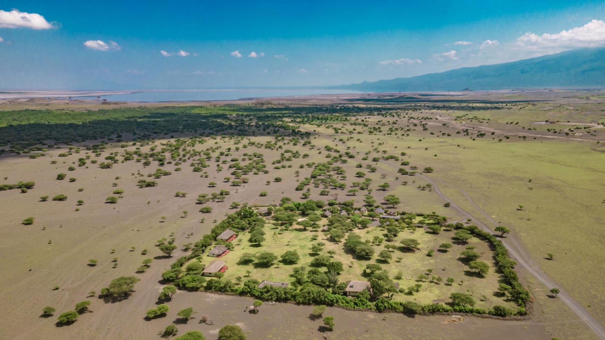 Lodge Natron Maasai Giraffe Eco And Mtowabaga