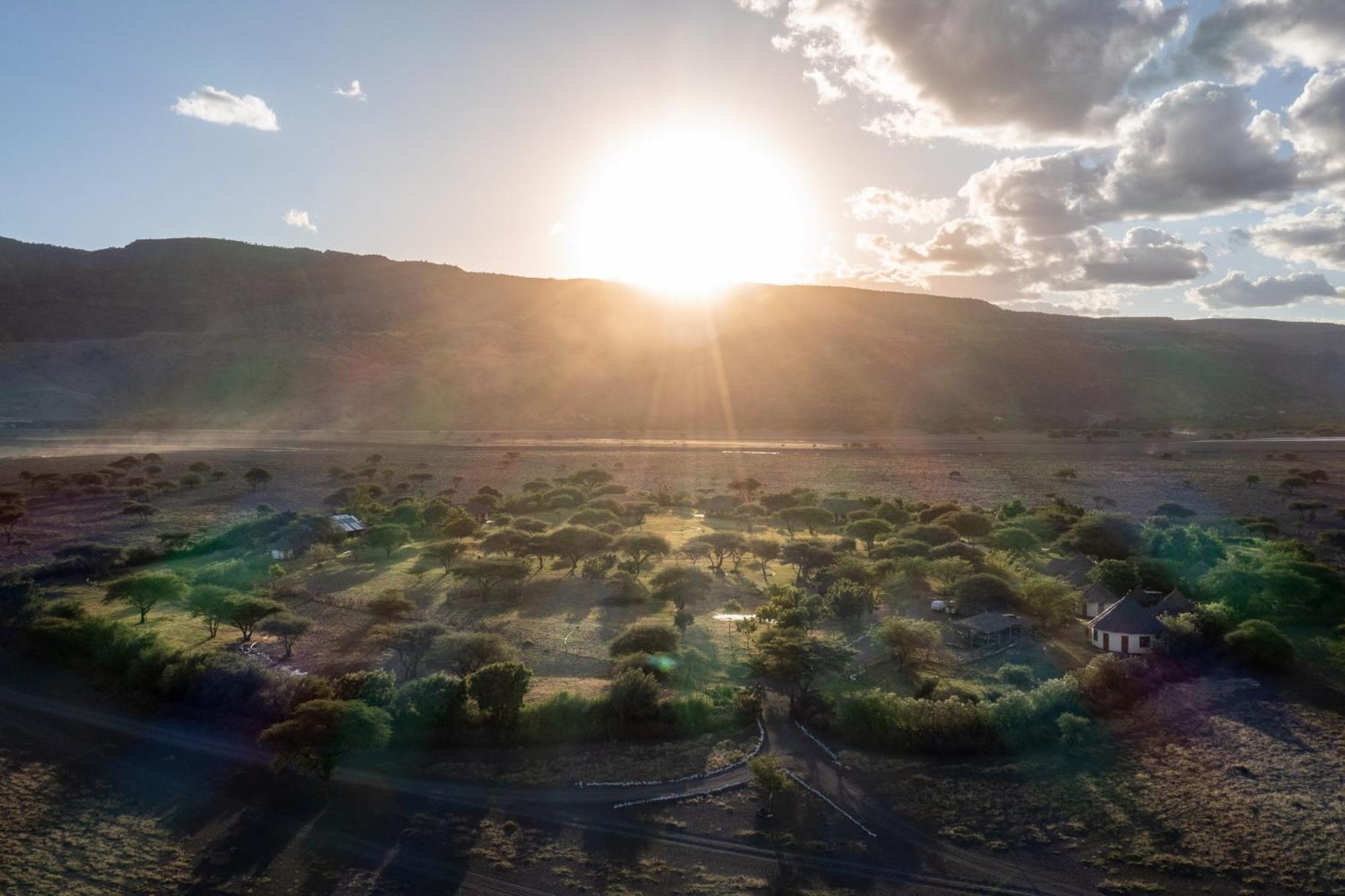 Lodge Natron Maasai Giraffe Eco And Mtowabaga