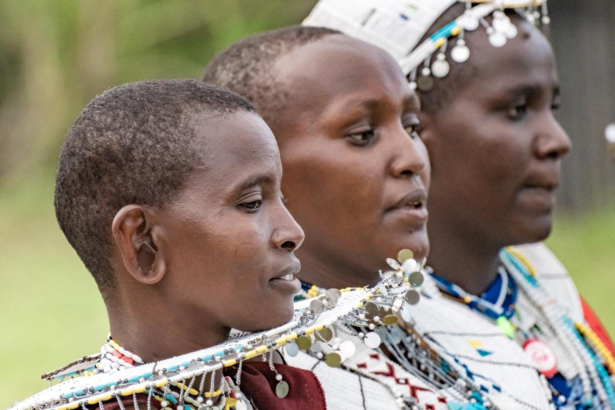 Natron Maasai Giraffe Eco And * Mtowabaga