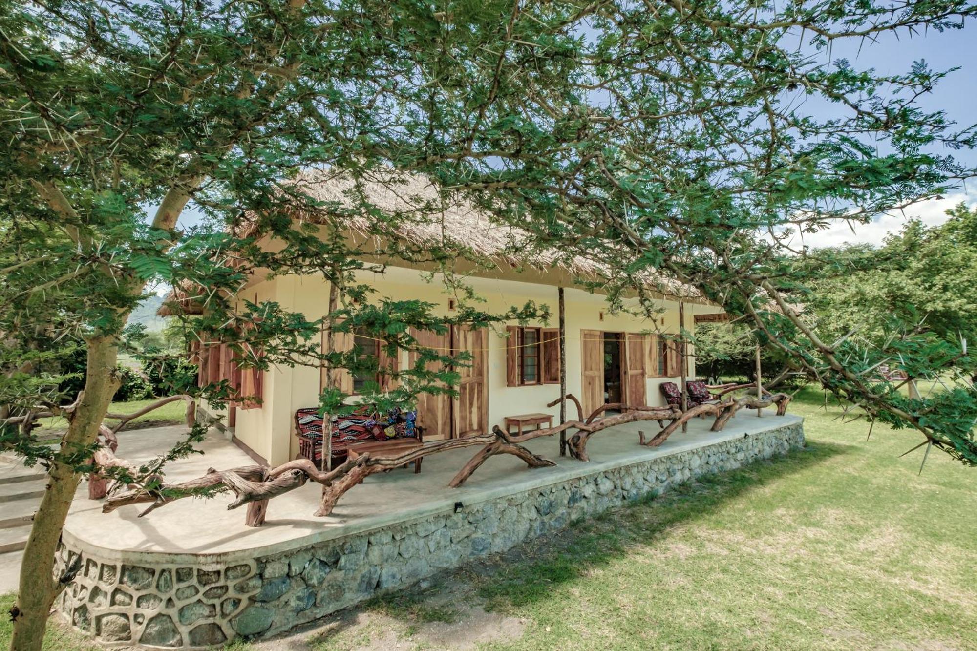 Lodge Natron Maasai Giraffe Eco And *