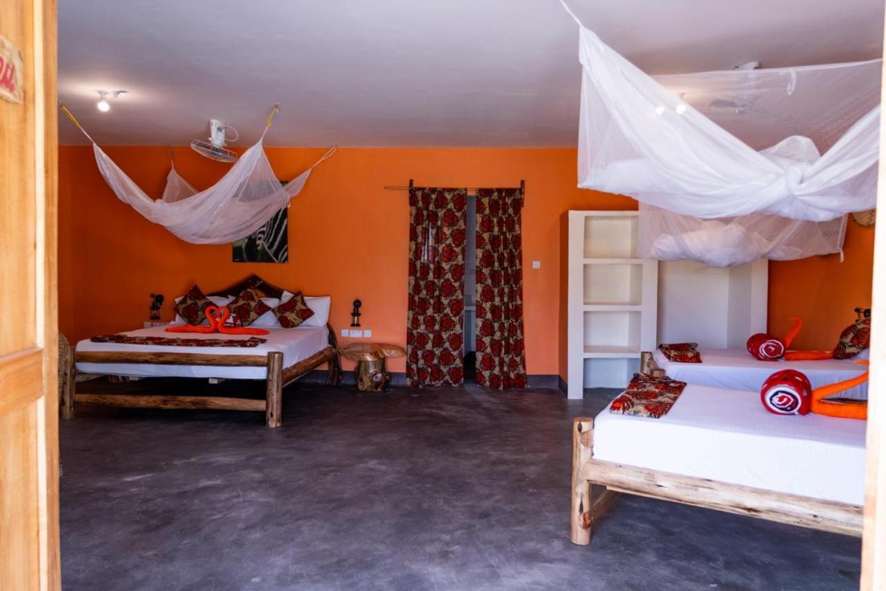 Natron Maasai Giraffe Eco And Mtowabaga