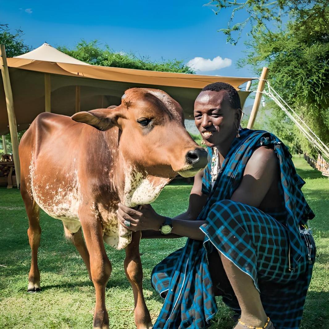 Natron Maasai Giraffe Eco And Lodge Mtowabaga